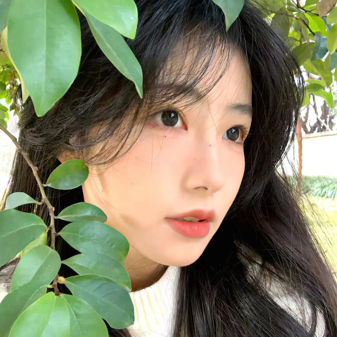 遗失的小美好之谎言
