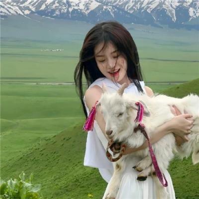 银魂剧场版 新译红樱篇